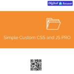 Simple Custom CSS and JS PRO